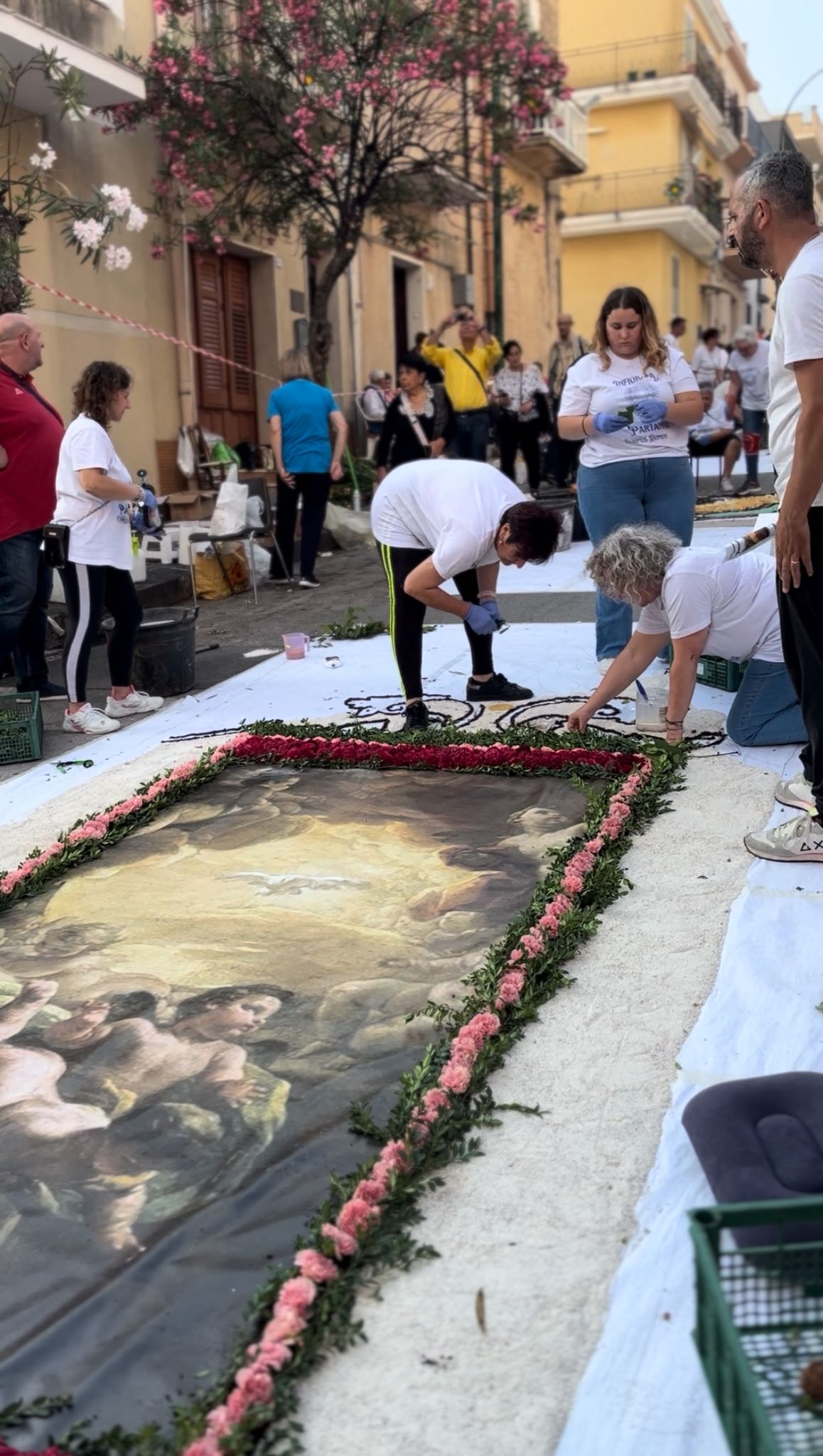 Infiorata foto7